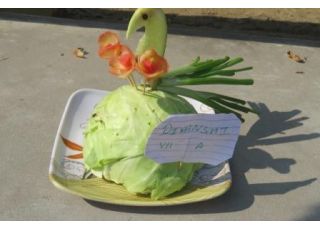 Vegetable Carving 2017
