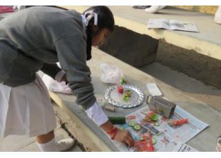 VEGETABLE CARVING COMP. 2016