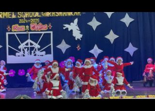 Christmas Celebration 2024-25